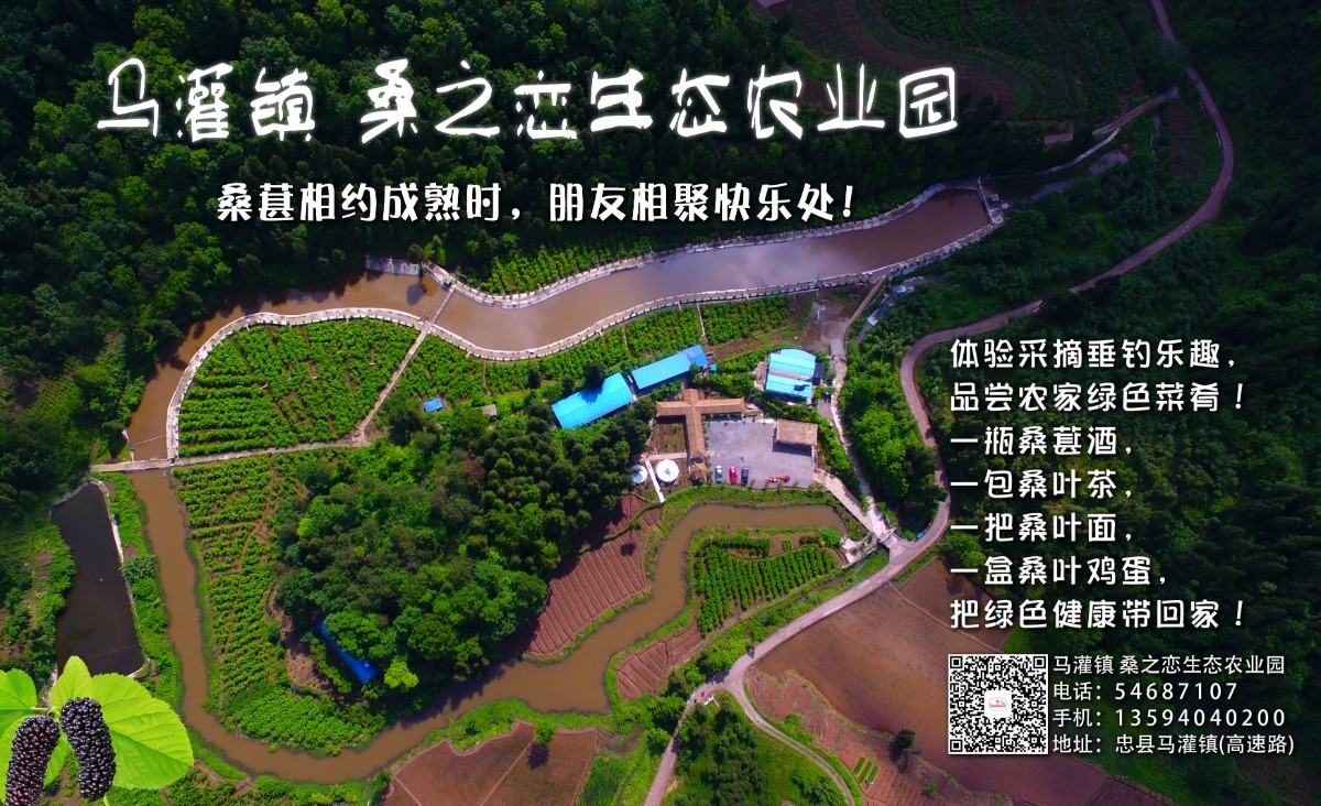 图片.jpg