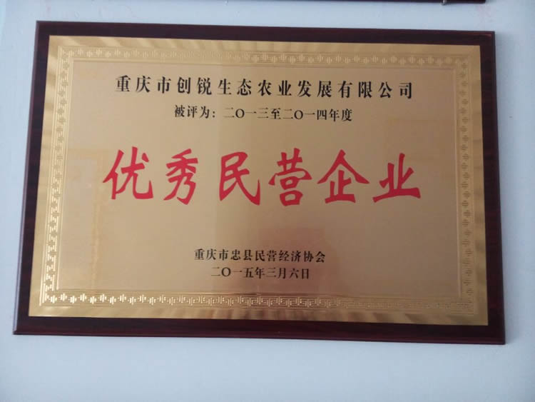 荣誉牌匾1.jpg
